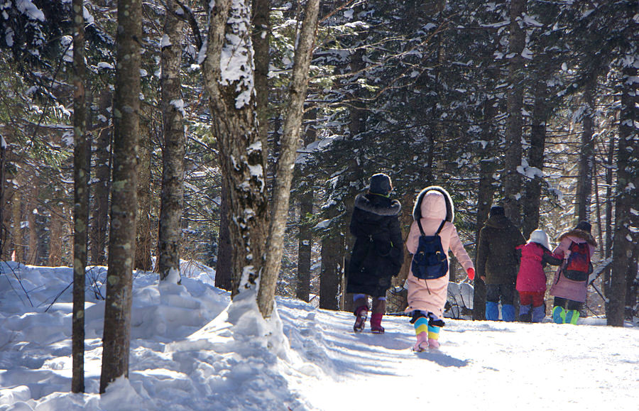 Trekking in Harbin Snow Town Photo