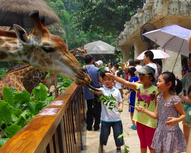 Chimelong Safari Park in Guangzhou