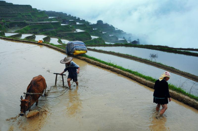 Guizhou tours in April