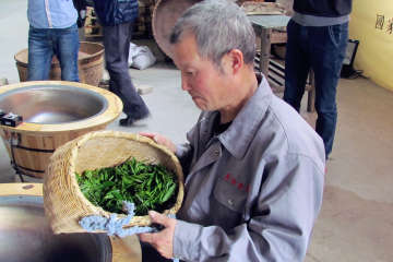 China Tea Tour Huangshan