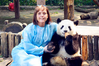 Panda Tours of China