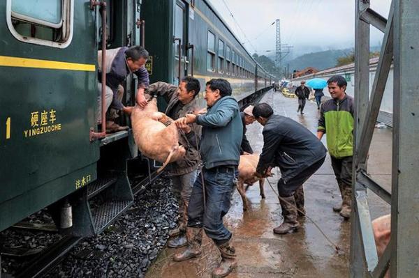 Green Train in China Rural Areas