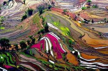 Yunnan Winter Tour Yuanyang Rice Terraces