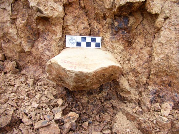 Stone tool found at the archaeological site of Shangchen