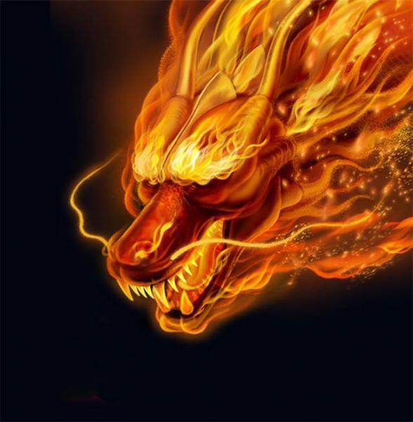 Fire Dragon