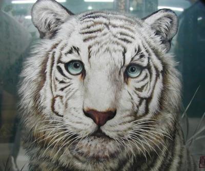 Shu embroidery chinese embroidery pictures travel photos  images of