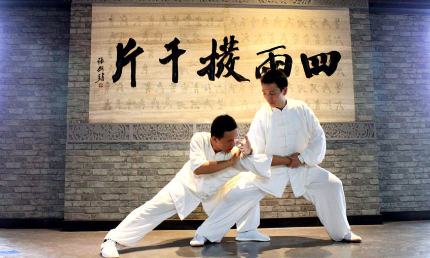 Tai Chi fighting - movements and postures