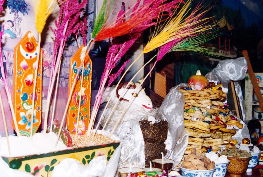 Spring Festival Customs in China Village Tour