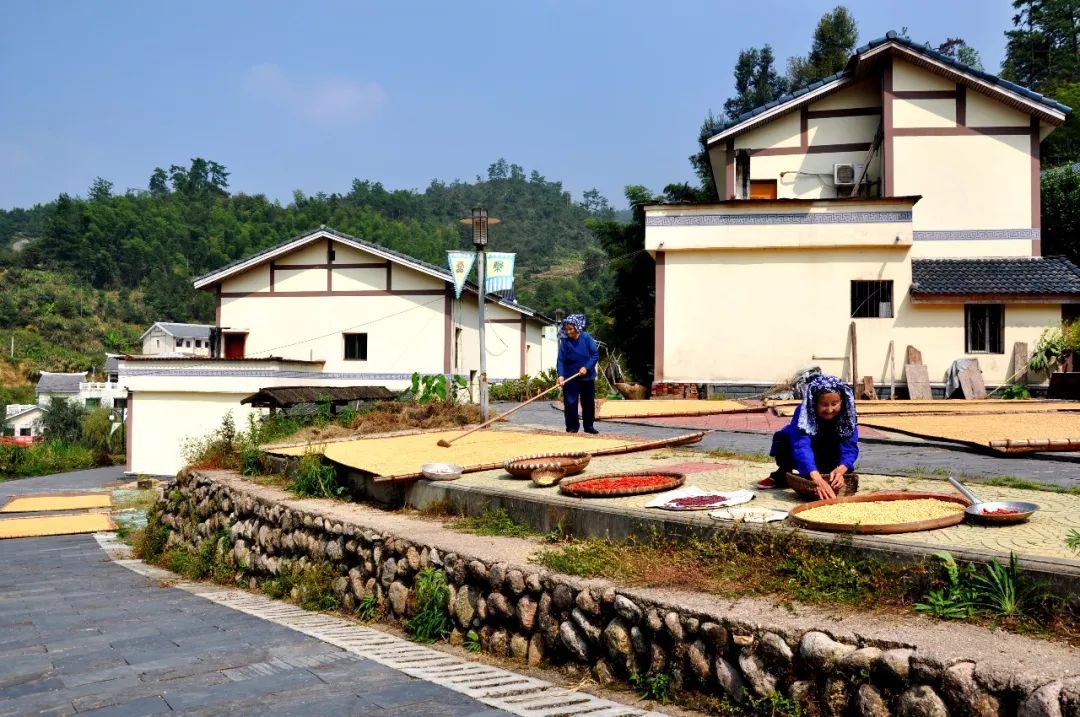 Spring Festival Customs in China Village Tour