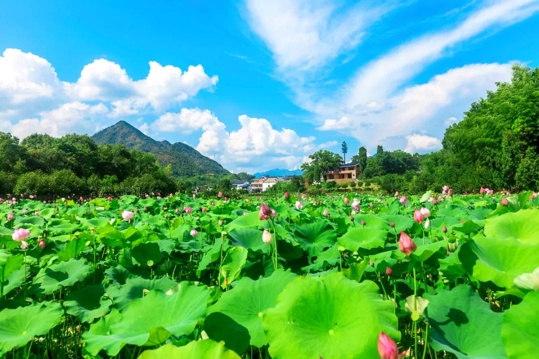 Spring Festival Customs in China Village Tour