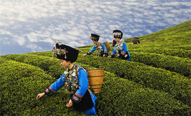 China Tea Destinations