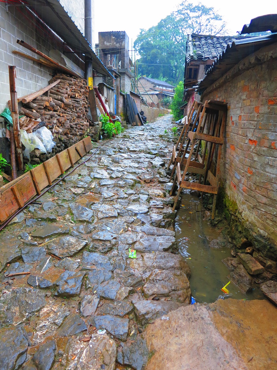 Chinese puer tea culture