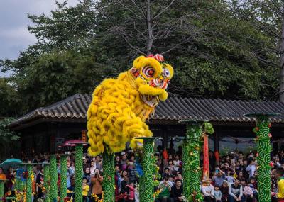 Lion Dance