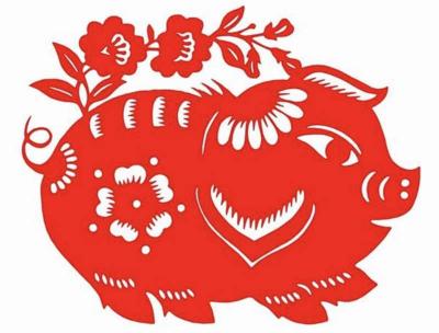 chinese zodiac pig years