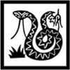 Chinese Zodiac Sign Snake