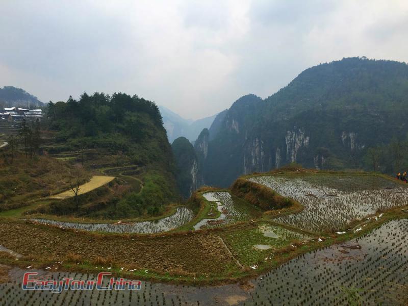 Rice Terrace Near Heaven Asking Platform