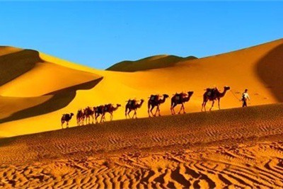 Camel riding in Dunhuang desert