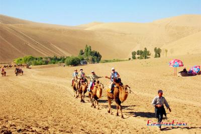 Visit Dunhuang desert with camel riding