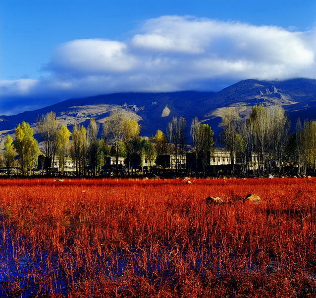 Red Grass Land