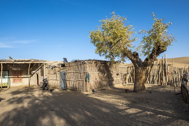 Explore Xinjiang’s 400 Years Old Hidden Village Darya Boyi