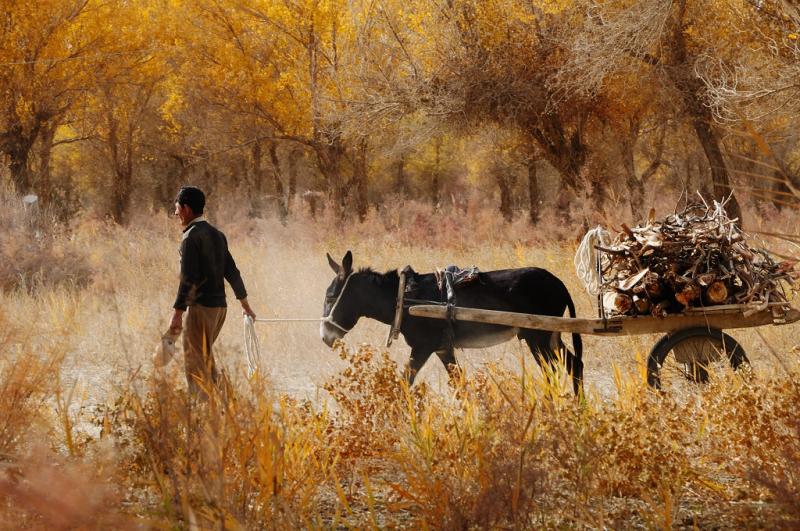 Explore Xinjiang’s 400 Years Old Hidden Village Darya Boyi