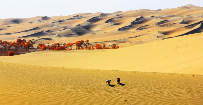 Explore Xinjiang’s 400 Years Old Hidden Village Darya Boyi