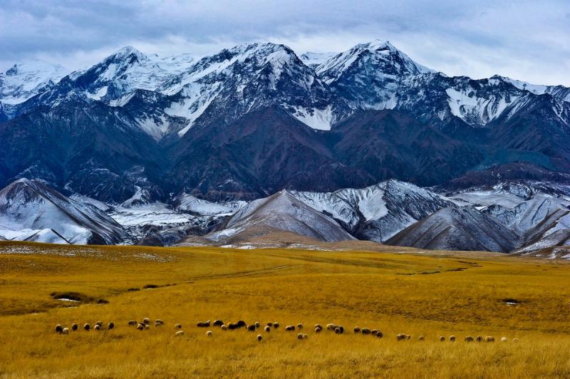 Explore Xinjiang’s 400 Years Old Hidden Village Darya Boyi