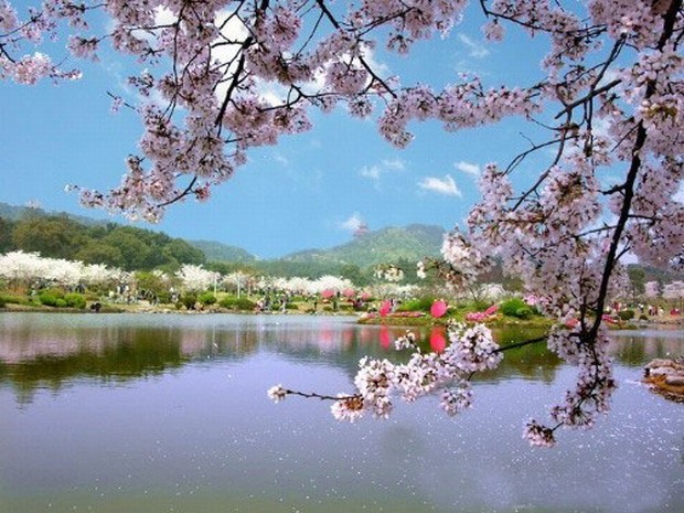 natural beauty wuhan east