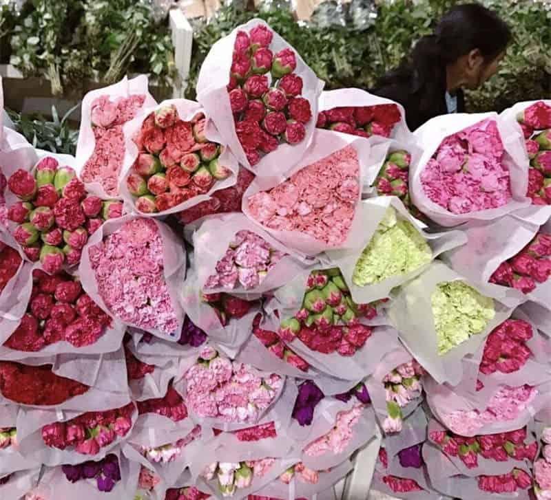 Eighteen Oddities in Yunnan - flowers bloom all years 