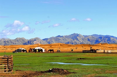 Mongolian Grassland Landscape