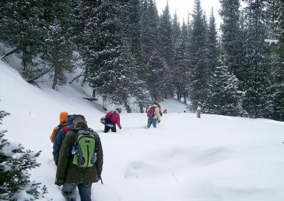 Visitors Walking in Snow