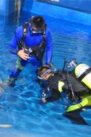 Guangzhou Ocean World Divers 