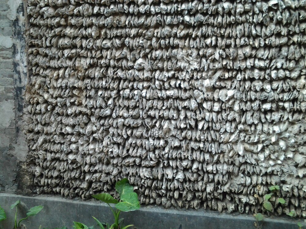 Oyster shell houses in Xiaozhou Village, Guangzhou Ancient Village Tour