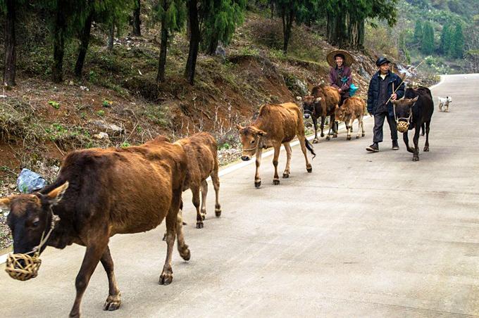 difficulties while cycling in China