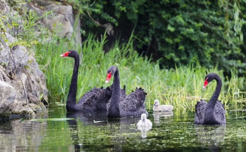 Guilin Huixian Wetland Park Officially Become National Wetland Park