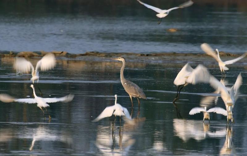 Guilin Huixian Wetland Park Officially Become National Wetland Park