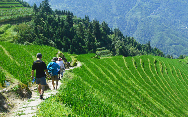 Longji Bike Tours,Bike Tours to China Rice Terraces, Bike Guilin to Longji.