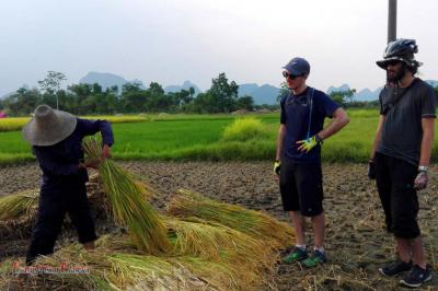 French travelers do farm work in Yangshuo countryside