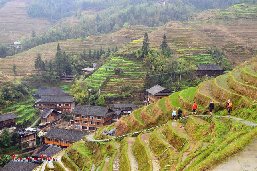 Hiking Longji Rice Terraces