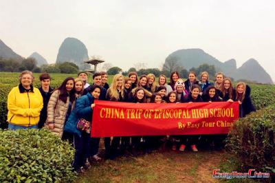 Students Visiting Guilin Tea Plantation