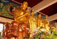 buddha statues