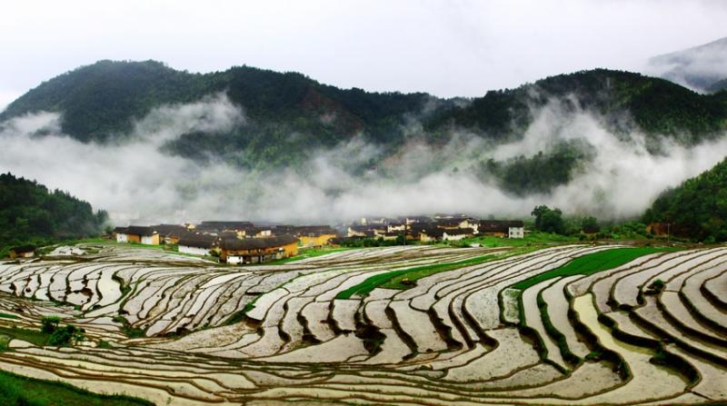 Fujian tea tours