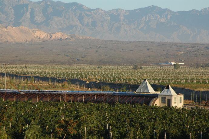 Helan Qingxue Wines