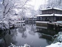 garden winter view