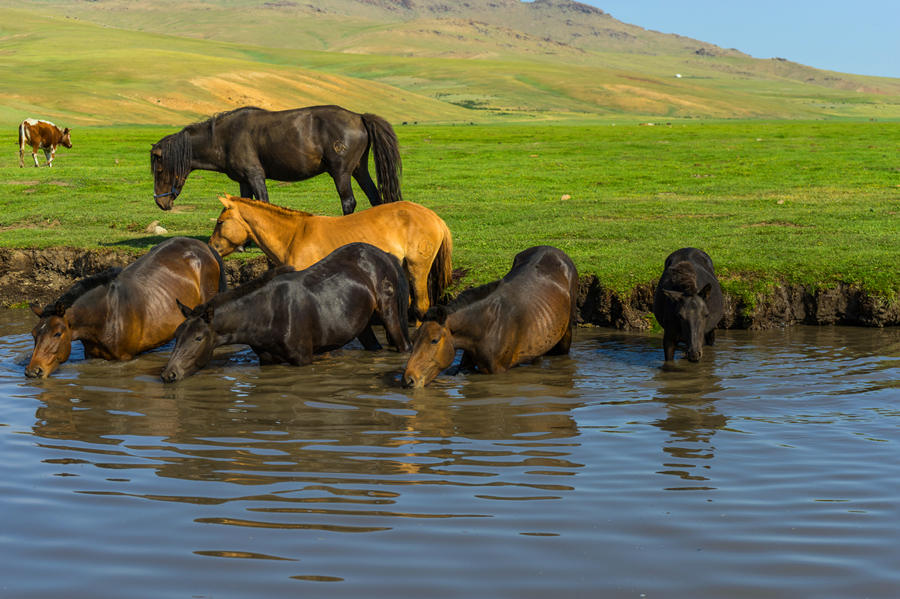 Mongolia Horse Riding