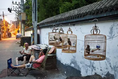 Beijing Hutongs