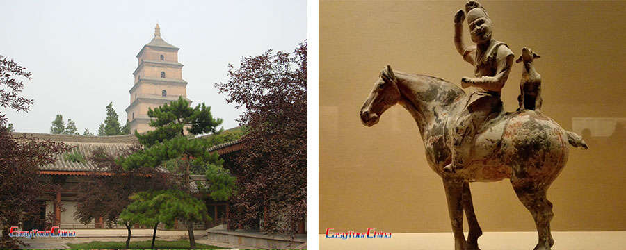 Wild Goose Pagaoda and Shaanxi History Museum