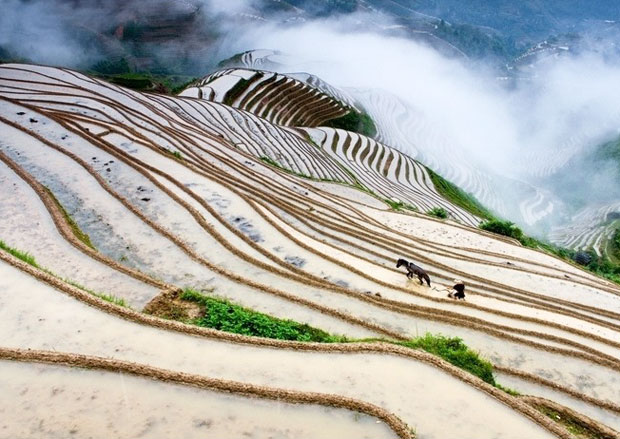 longsheng jinkeng