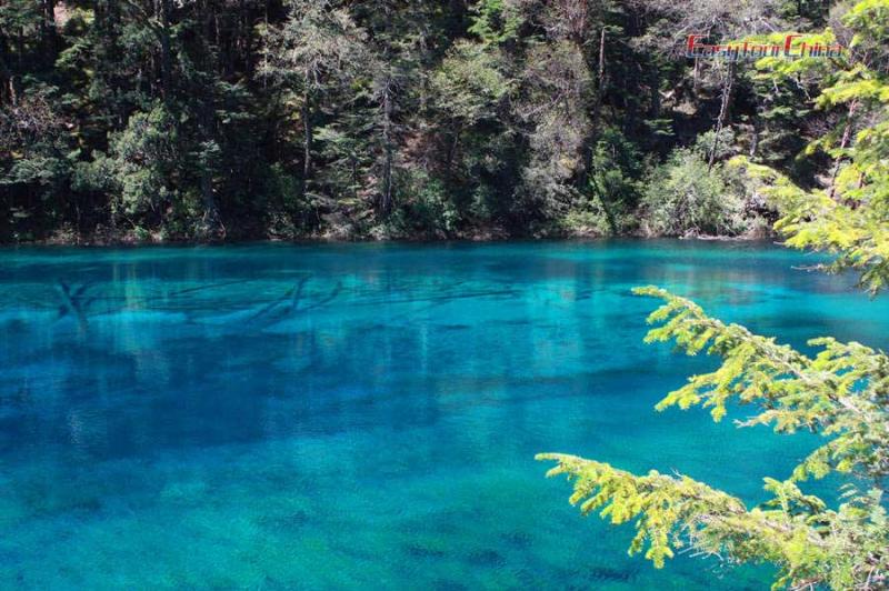 The colorful waters in Jiuzhaigou