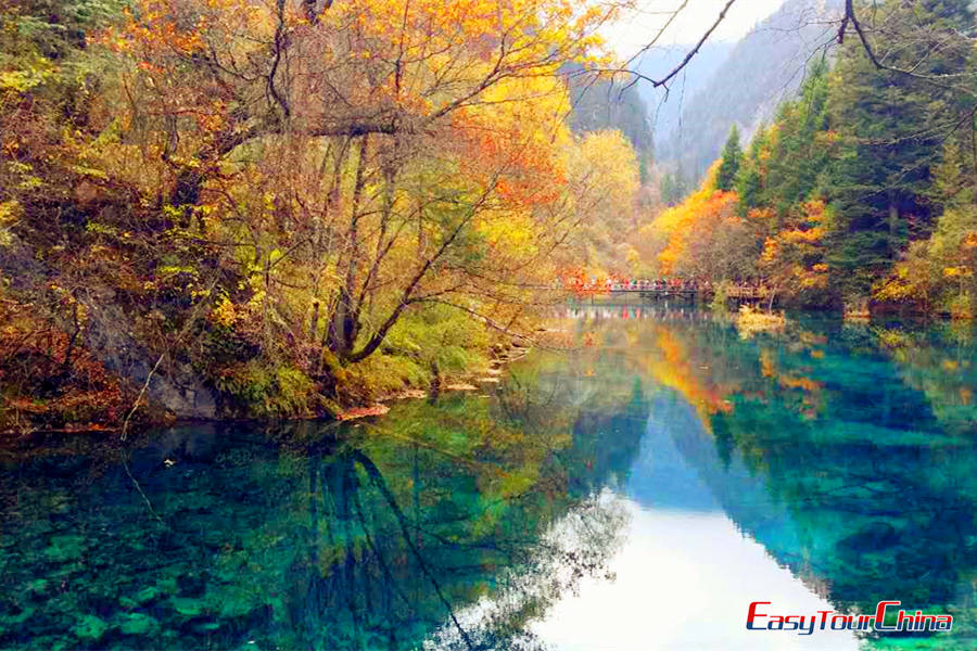 Jiuzhaigou in Autumn